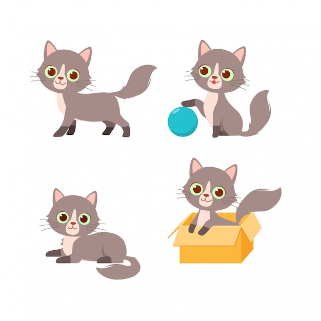 Gato fofo animal de estimação brincando com conjunto de estilo de pose