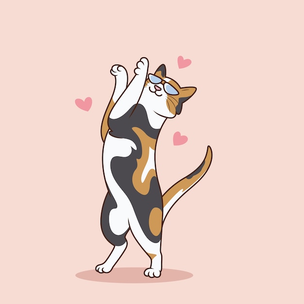 Gato fofo dançando com uma expressão encantadora