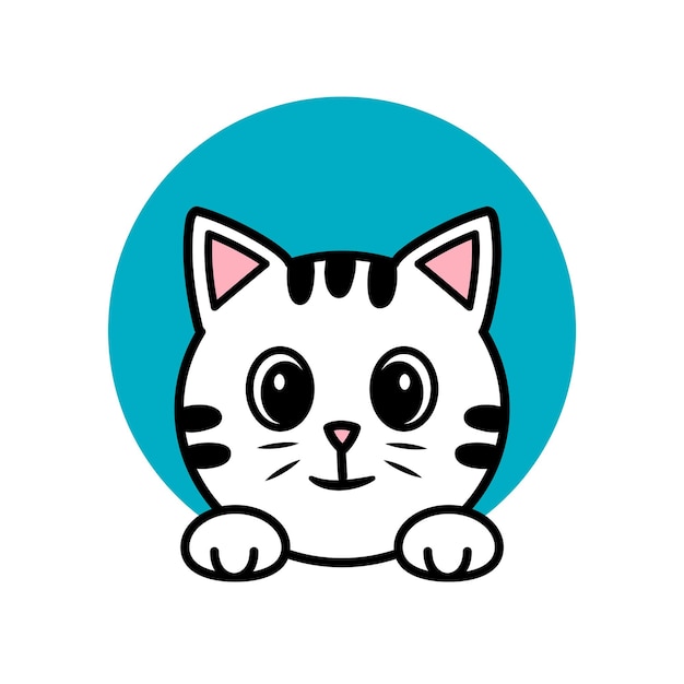 Gato Gato