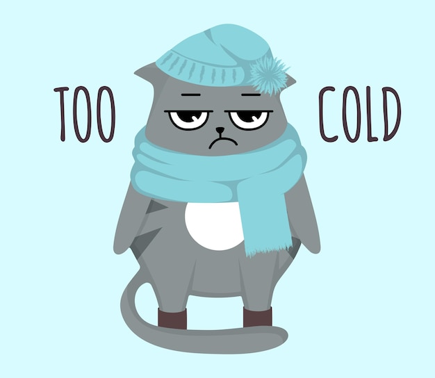 Gato mal-humorado inverno no lenço e no chapéu. muito frio