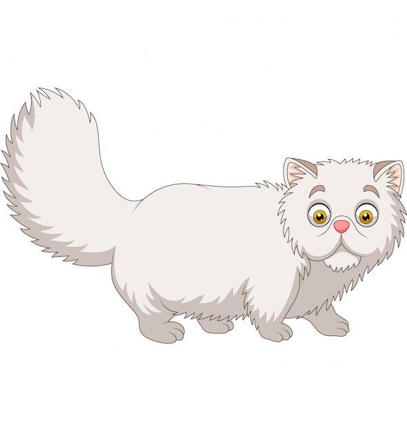 Gato persa de desenhos animados em branco