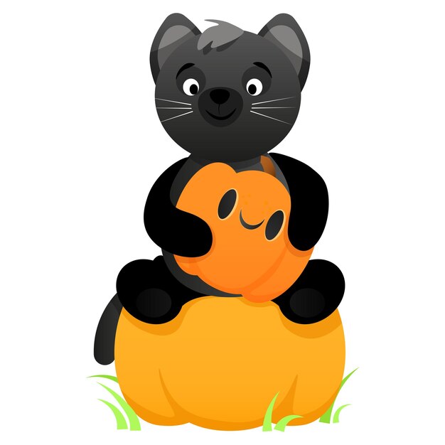 Gato preto bonito com uma abóbora nas patas e senta-se em uma abóbora