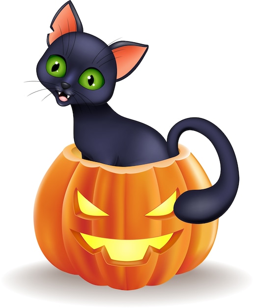 Gato Preto De Halloween Ilustrações, Vetores E Clipart De Stock – (44,551  Stock Illustrations)