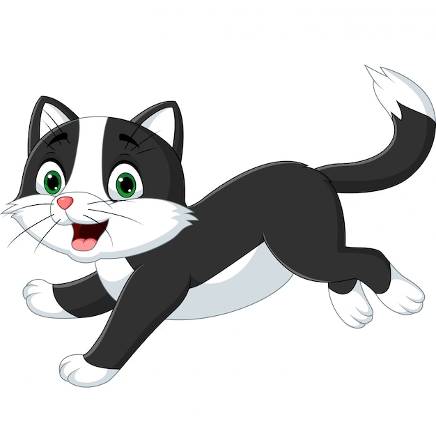 Gato preto e branco dos desenhos animados