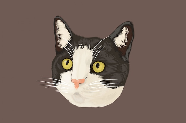 Desenho realista de gato preto e branco · Creative Fabrica