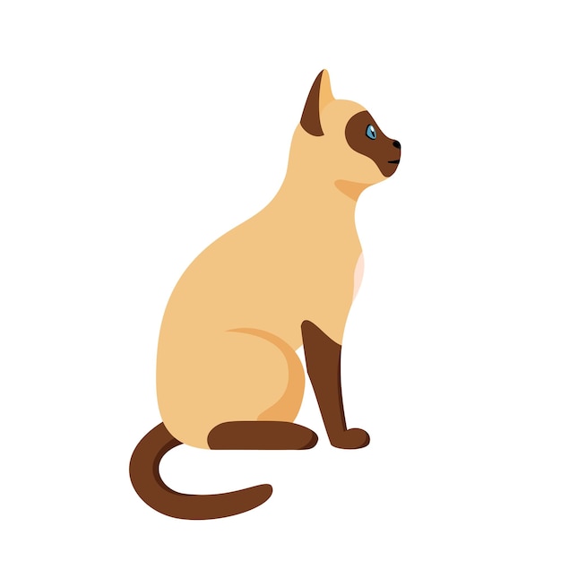 Gato siamês sentado no perfil Gato doméstico tailandês bonito Ilustração vetorial em estilo simples