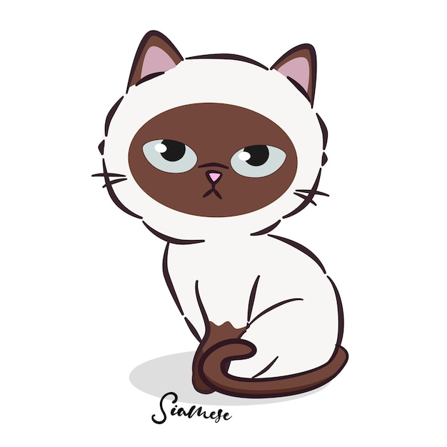 Gato tailandês dos desenhos animados com design simples. gato siamês esta é uma das cinco raças de gatos mais bonitas.