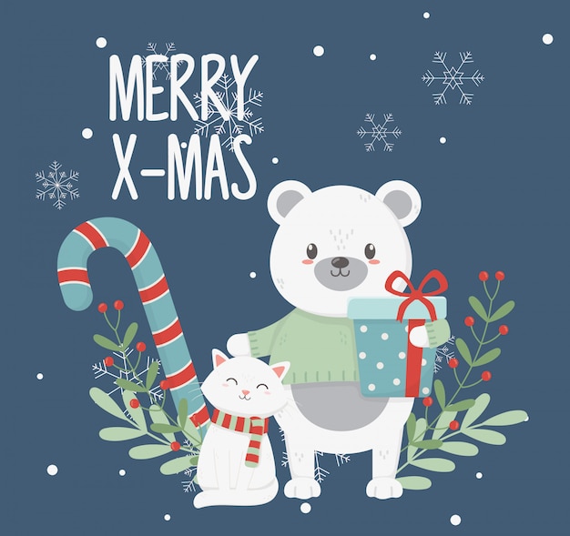 Gato urso polar com caixa de presente deixa cartão de feliz Natal