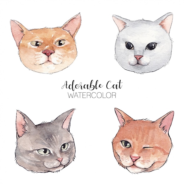 Gatos adoráveis da aguarela