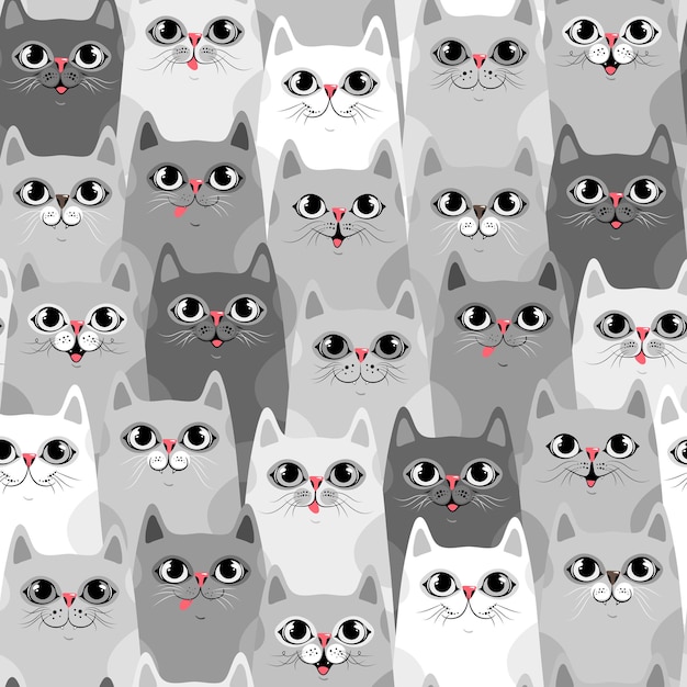 Gatos bonitos, fundo colorido sem costura com gatos