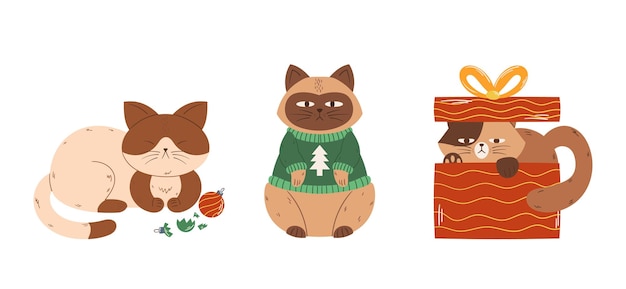 Gatos bonitos no feriado de Natal Animais de estimação engraçados Personagens felinos se escondem na caixa de presente Brinque com enfeites Use com suéter de Natal