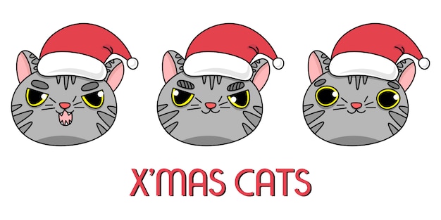 Gatos cinza com chapéu de natal