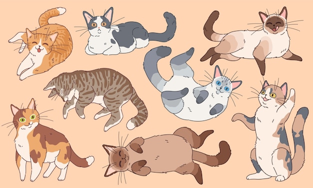 Gatos. Conjunto de gatinhos engraçados de diferentes raças, animais de estimação dormindo e brincando de desenho animado feliz kitty rosto