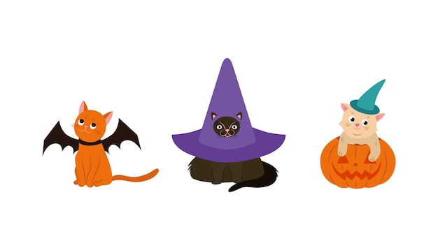 Gatos de halloween gato preto em ilustração vetorial de chapéu de bruxa fantasia de feliz dia das bruxas