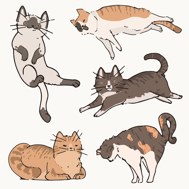 Gatos encantadores ilustrados a relaxar