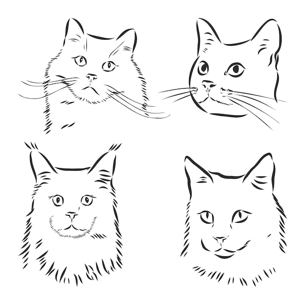 Gatos fofos ilustração vetorial no retrato preto e branco da cabeça de um gato.