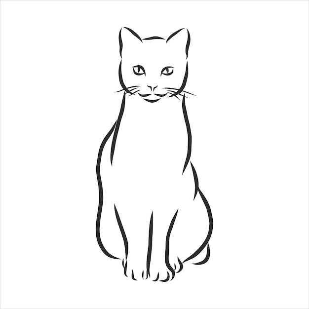 Gatos, linhas pretas. desenho linear. gatos, ilustração vetorial.