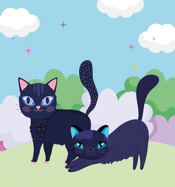 Gatos pretos dos desenhos animados na grama natureza paisagem animais de estimação