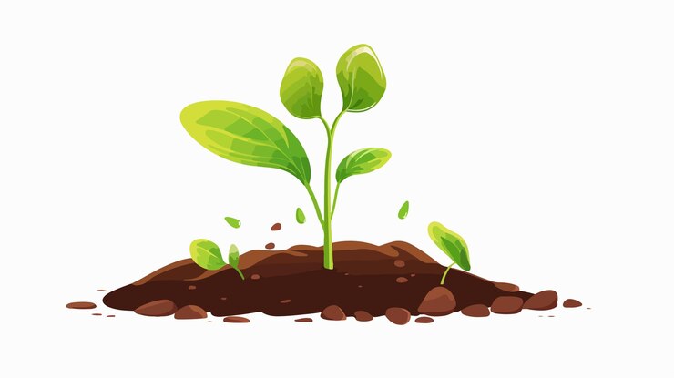Vetor germinação de flores em ilustração vetorial de desenho animado de sementes de plantas