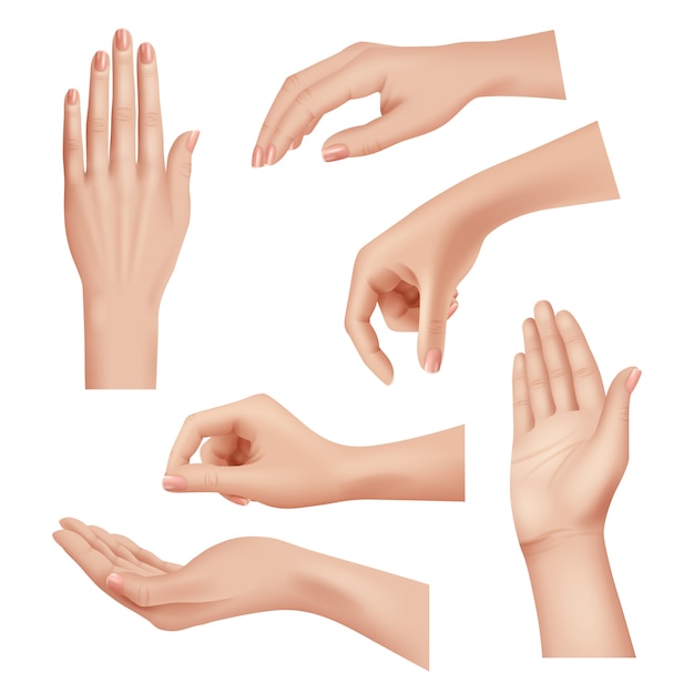 Vetor gestos de mãos. feminino cuidado pele palma e dedos unhas mulher cosméticos mãos realista closeup vetor. mulher da palma da mão, ilustração diferente da posição da menina dos dedos
