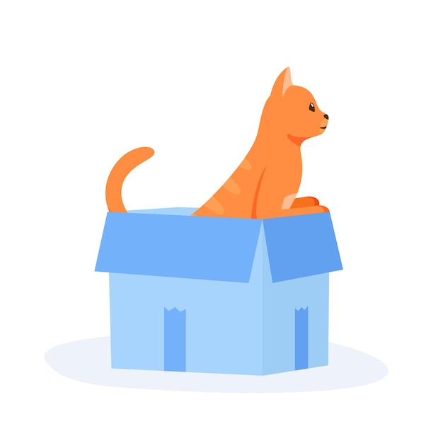 Ginger cat senta-se na caixa Bonito animal de estimação interno brinca em caixa de papel Escondendo e descansando lugar para gatos
