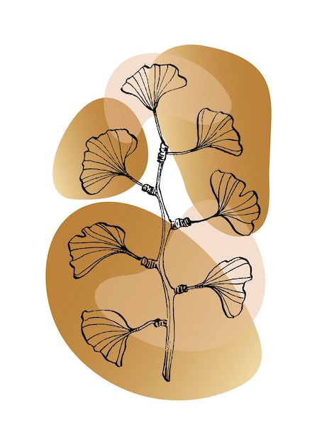 Ginkgo ilustrações pintadas à mão para flor minimalista de decoração de parede em estilo de desenho