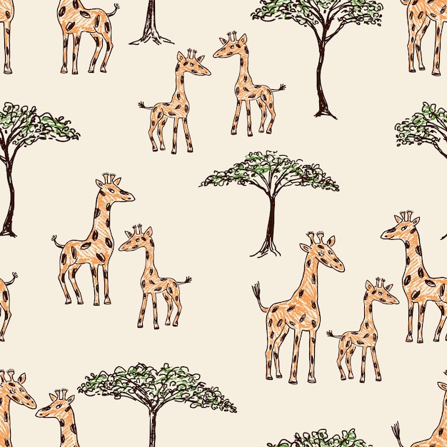 Girafas na savana