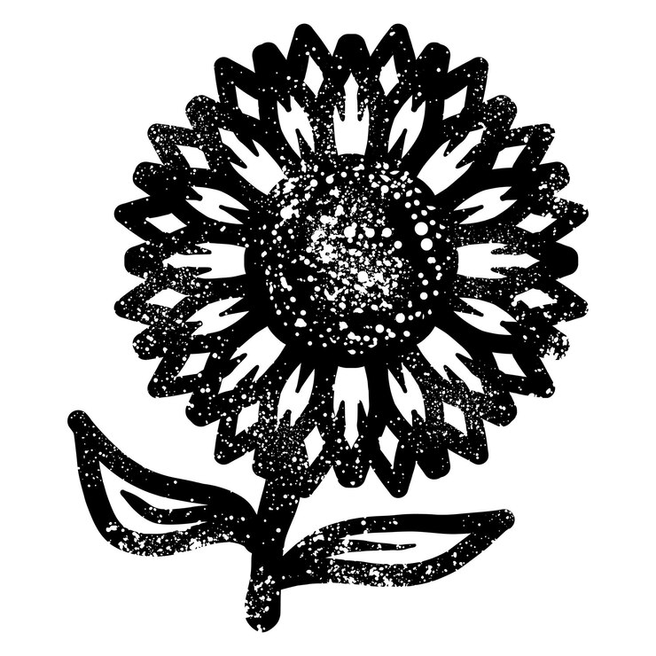 Vetor girasol desenhados à mão com textura grunge