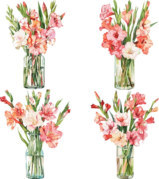 Gladiolus flowers in vase set aquarela isolada em fundo branco