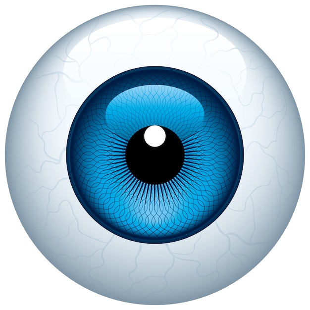 Vetor globo ocular azul isolado no branco