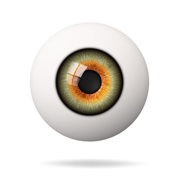 Vetor globo ocular humano realista. a retina é o primeiro plano.