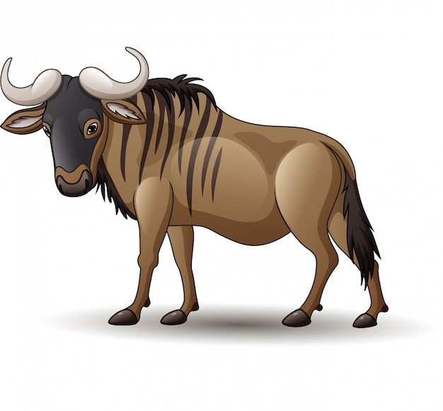 Gnu isolado no fundo branco