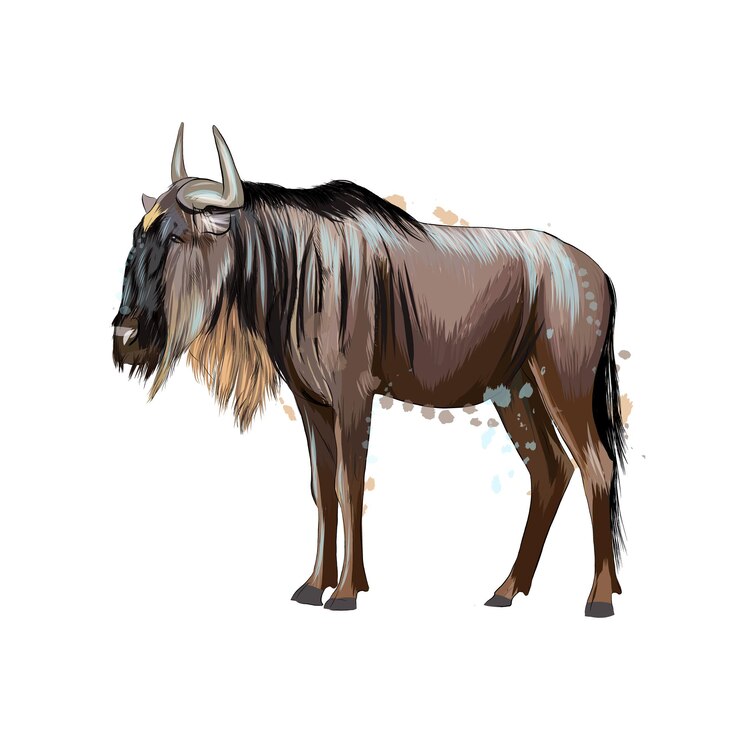 Vetor gnus de um toque de aquarela, desenho colorido, realista. ilustração vetorial de tintas