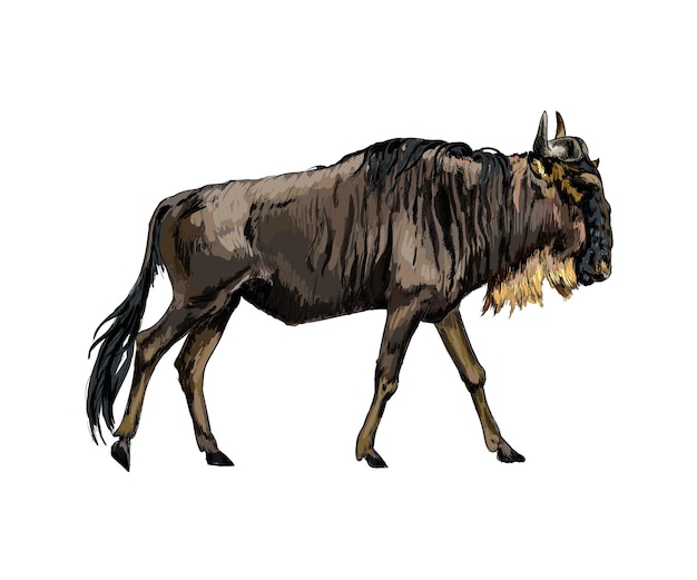 Gnus de um toque de aquarela