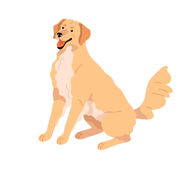 Golden Retriever cão bonito feliz de raça adorável sorridente cão de raça pura sentado adorável doce animal canino positivo com emoção excitada Ilustração vetorial plana isolada em fundo branco