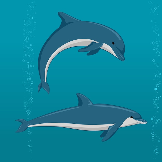 Vetor golfinhos de desenho animado em diferentes poses