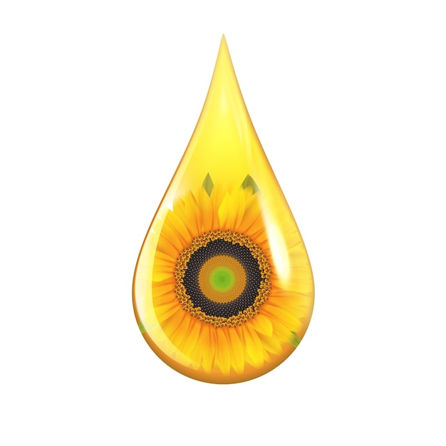 Gota de óleo de semente de girassol amarelo com imagem de girassol dentro do conceito de design realista isolado na ilustração vetorial de fundo branco