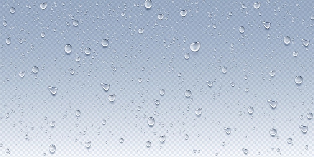 Gotas de água Chuva salpicada em vidro de fundo transparente com gotículas frescas molhadas orvalho puro ou gota de chuva em janela branca chuveiro gotejamento e vapor condensação líquida Vector fundo realista