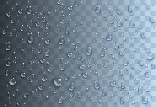 Gotas de água realista. fundo transparente horizontal. ilustração monocromática