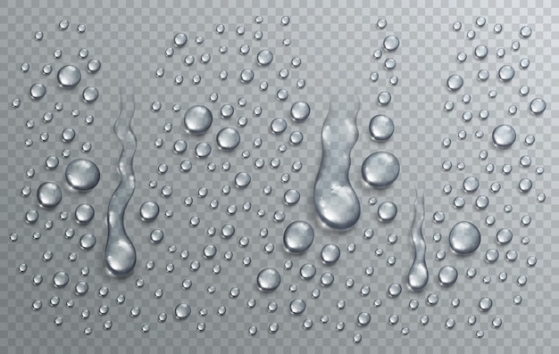 Vetor gotas de chuva de água ou condensação na composição vetorial 3d transparente realista do chuveiro sobre a grade do verificador de transparência, fácil de colocar sobre qualquer fundo ou usar gotículas separadamente.
