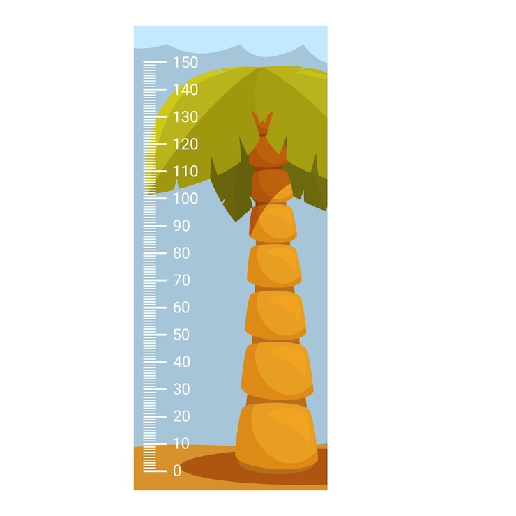Vetor gráfico de altura de palmeira de desenho animado para medir o crescimento de crianças