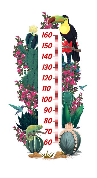 Vetor gráfico de altura infantil com tucano mexicano e flores