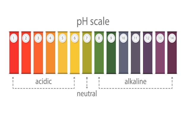Gráfico de escala de valor de pH para soluções ácidas e alcalinas infográfico de equilíbrio ácido-base