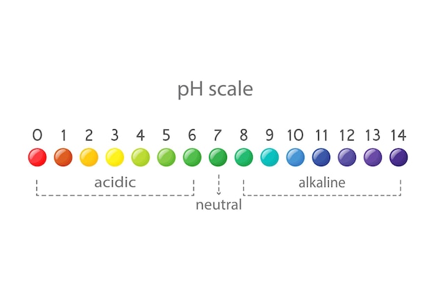 Gráfico de escala de valor de pH para soluções ácidas e alcalinas infográfico de equilíbrio ácido-base