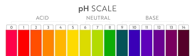 Gráfico de escala de valores de ph. infográfico de equilíbrio ácido-base. pôster educacional