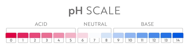 Vetor gráfico de escala de valores de ph. infográfico de equilíbrio ácido-base. pôster educacional