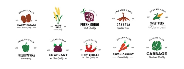 Vetor gráfico de ilustração vetorial do logotipo vintage de vegetais colorido bom para o logotipo da indústria de vegetais