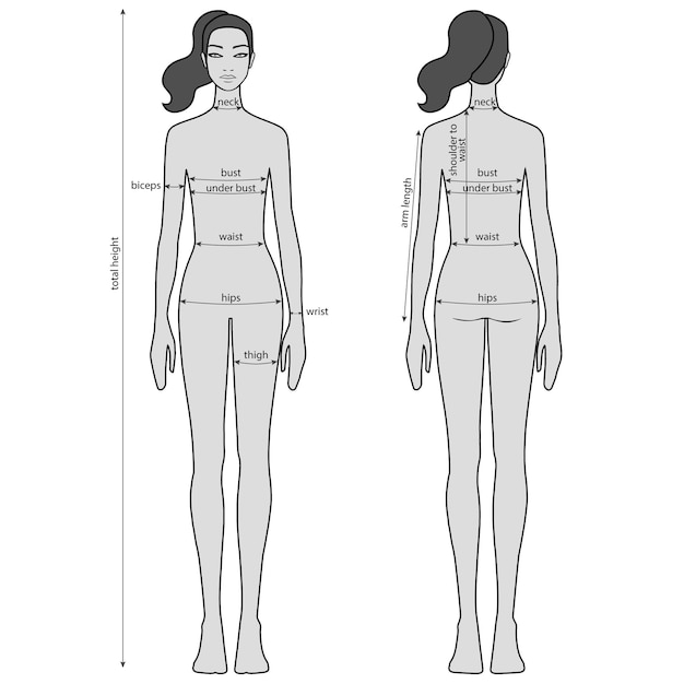 Vetor gráfico de medição de corpo de mulher, vetor de vista frontal e traseira de figura feminina