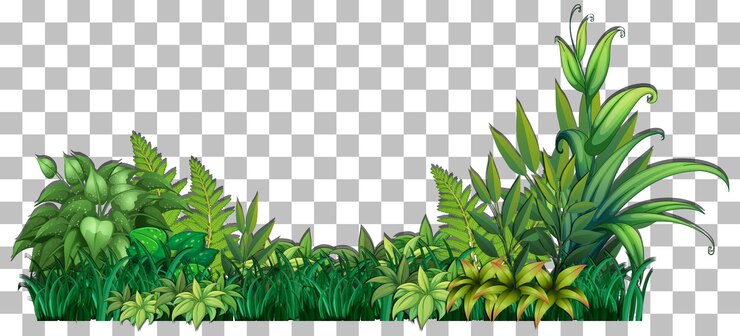 Vetor grama e plantas em fundo transparente para decoração