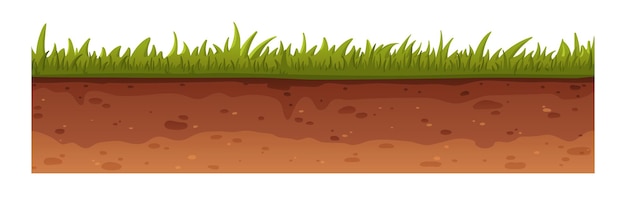Grama verde e seção transversal do solo, textura de nível subterrâneo perfeita. Cortar, cortar a superfície do gramado e o solo, enterrar as camadas subterrâneas. Ilustração vetorial gráfica plana isolada em fundo branco